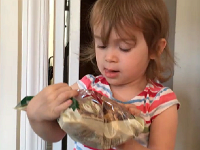 Screen Shot 2017-04-28 at 2.14.47 PM  walnuts?